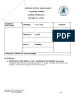 Formato Informe Electroniquelado