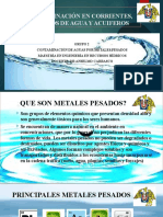 Contaminación en Corrientes, Cuerpos de Agua y