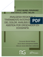 Analgesia Regional Tratamiento Intervencionista Del Dolor Guiado Ecografia