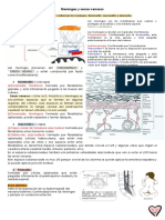 Semana 2