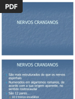 NERVOS_CRANIANOS