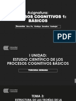 SEMANA 3 - Clases-Estructura de Las Teorías de La Cognición