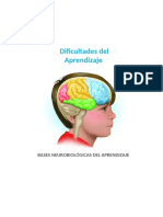 Bases Neurobiologicas Del Aprendizaje Apunte