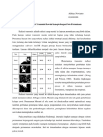 Analisis Radiasi Transmisi Bawah Kanopi Dengan Foto Permukaan