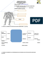 Evaluacion 3P 2Q Ciencias