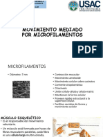 Microfilamentos y movimiento celular