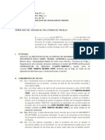 Modelo de Solicitud de Rectificación de Partida