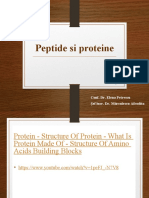 Curs 2 Peptide Si Proteine