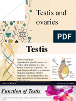 Testis and Ovaries: Name - Nisha Rajali Class - 11-B