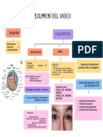 GironPriscila P13 Resumen de Video Conjuntivitis