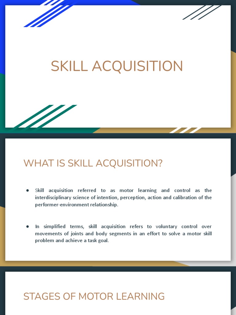 Skillsclonecom The Ultimate Guide To Skill Acquisition - wo8b826