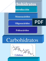 Carbohidratos Diapositivas 2