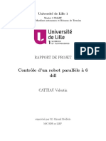 Rapport Cattiau