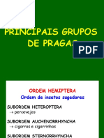 Grupos 4