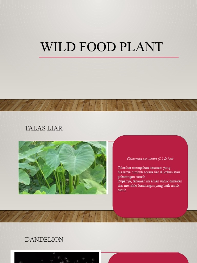 Wild Edible Plants PDF