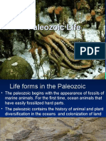 Paleozoic