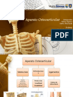 Aparato Osteoarticular