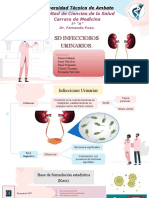 Infecciones Urinarias G4 - by Slidesgo