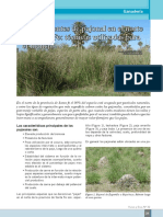 Script-tmp-Inta Vye Nro32 9 Ambientes de Pajonal en El N de Sant