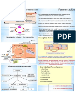 bioquimica de las fermentaciones - semana 7