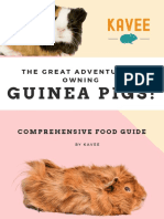 Guinea Pigs!: The Great Adventure of Owning