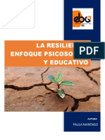 Ebg La Resiliencia Enfoque Psicosocial y Educativo 1