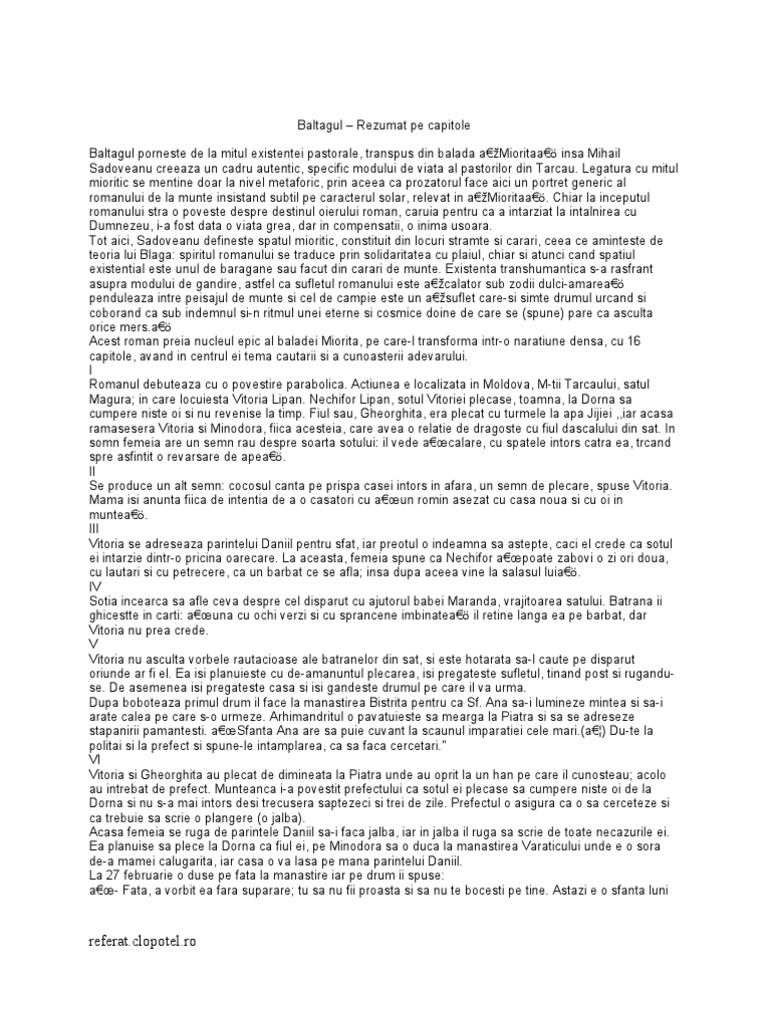 Baltagul-Rezumat Pe Capitole | PDF
