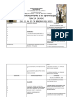 Plan de Reforzamiento Tercer Grado Terminado