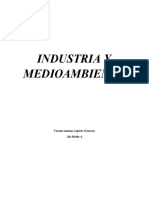 Industria Y Medioambiente: Vicente Antonio Laferte Troncoso 2do Medio A