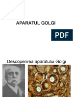 Aparatul Golgi 56a6862c6648e