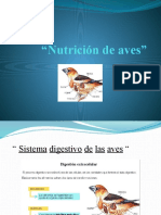 Nutrición de Aves