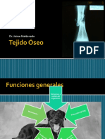 Tejido Óseo