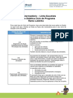 Tarefa Ciclo de Programa - Ramo Lobinho Trabalho em Grupo