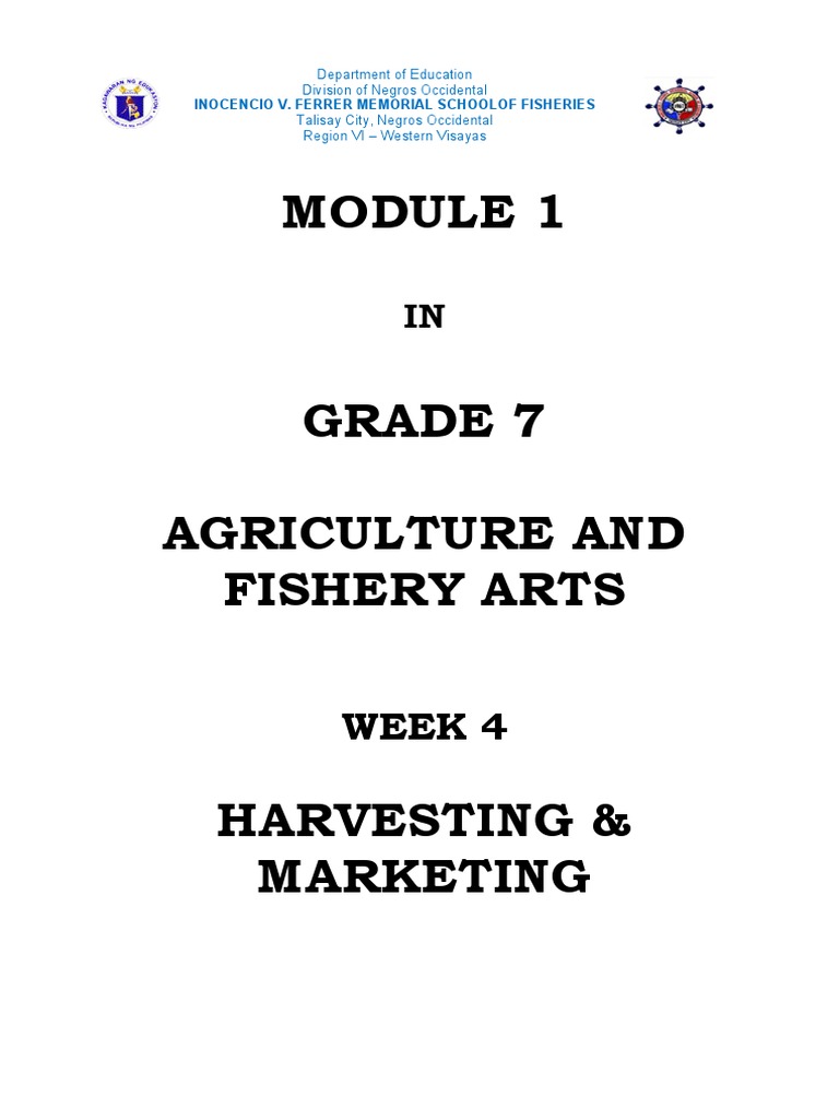 Harvesting and Marketing PDF Vegetables Profit (Economics)