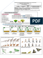 Aprendiendo el abecedario