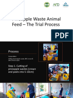 Animal Feed Processing - The Trial