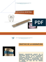 Tema 1.2. Cavidad Bucal y Arcadas Dentarias