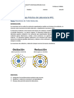 Informe Redox