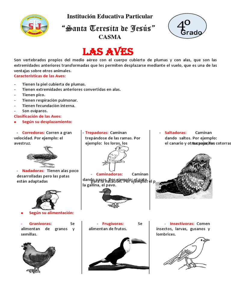 Las Aves | PDF | Aves | Vertebrados, image size:768x1024