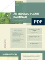 An Endemic Plant: Kalingag: PHBIO 1101