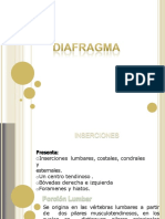 8va Sesión - Diafragma