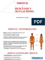 Anatomía y afecciones del tronco y abdomen