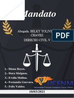 Informe Derecho Civil - Mandato