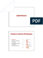 Oesophagus - Lecture (1 & 2) Surgery