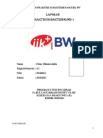 Laporan Mikrobiologi Dan Parasitologi