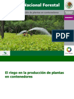 Riego Plantas en Contenedor