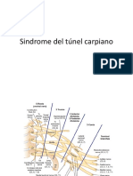 Tunel Del Carpo