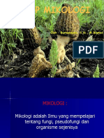 Konsep Mikologi