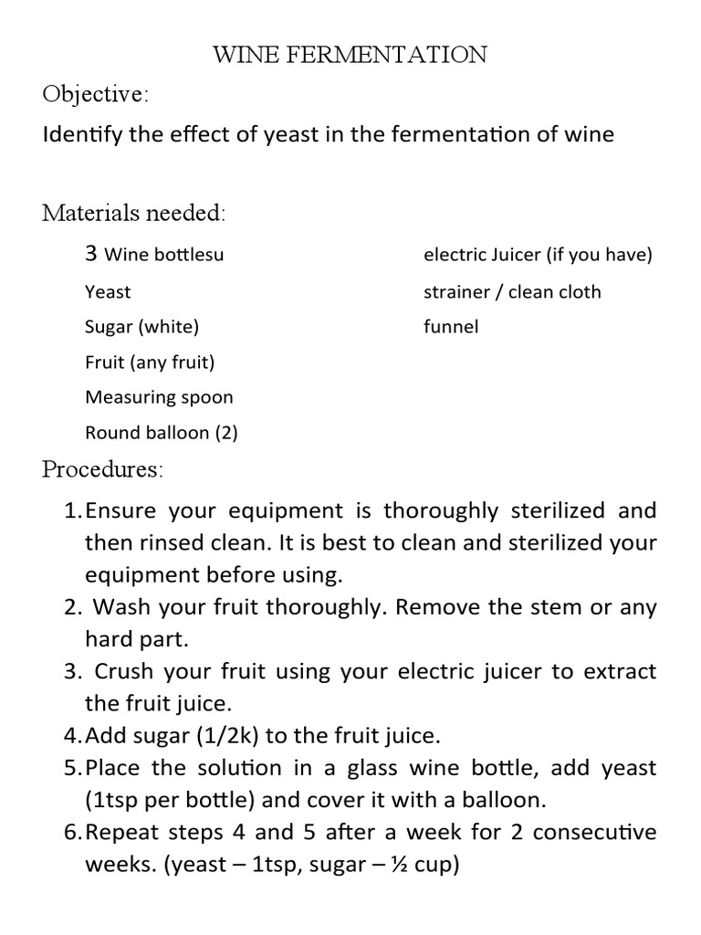 Wine Bottlesu Electric Juicer (If You Have) Yeast Strainer / Clean