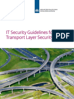 IT Security Guidelines TLS
